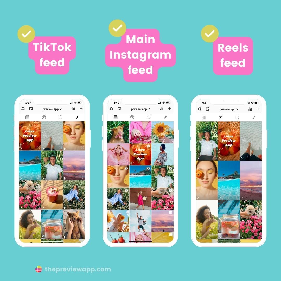 schedule tiktok