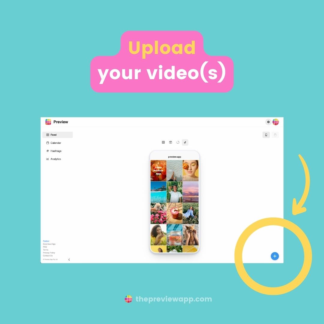 schedule tiktok