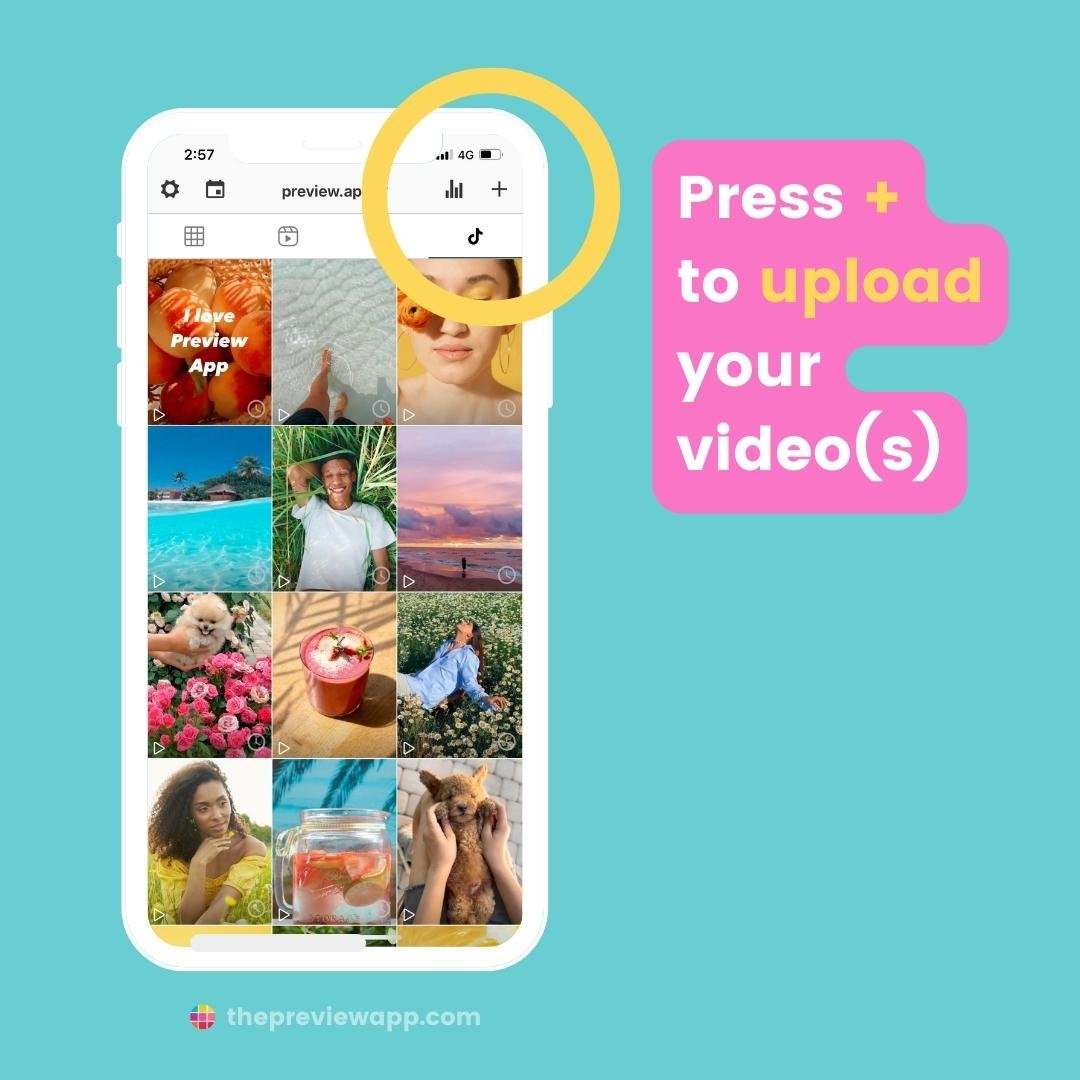 schedule tiktok