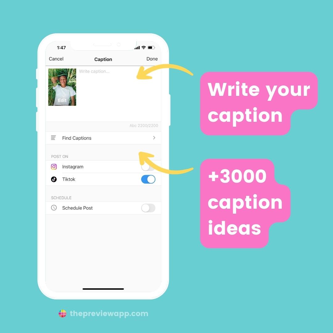 schedule tiktok