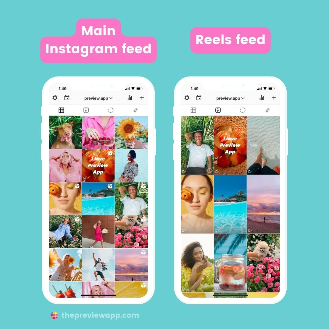 schedule tiktok