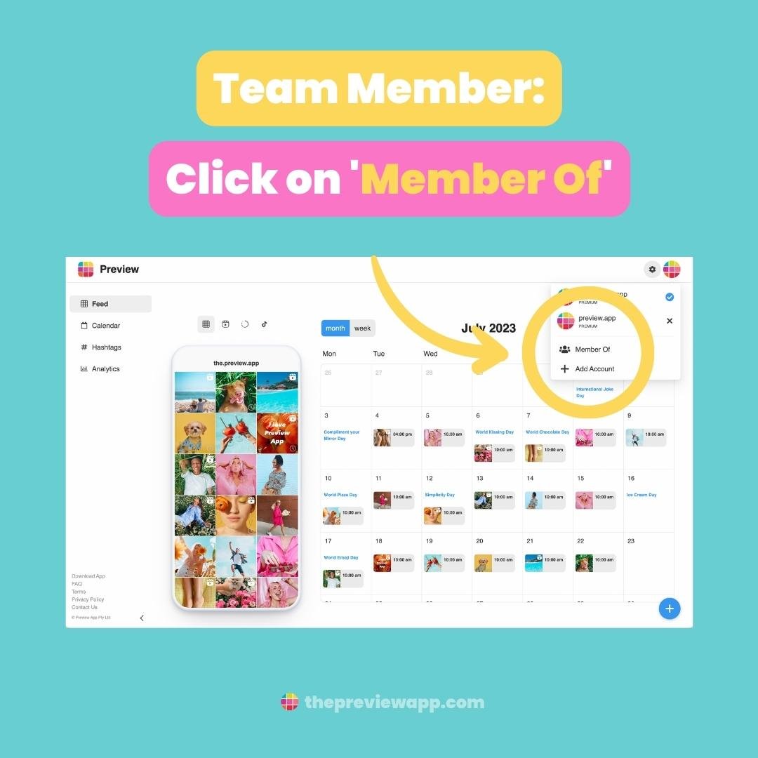 how-to-share-preview-app-feed-team-16 How To Share your Preview Feed with your Team