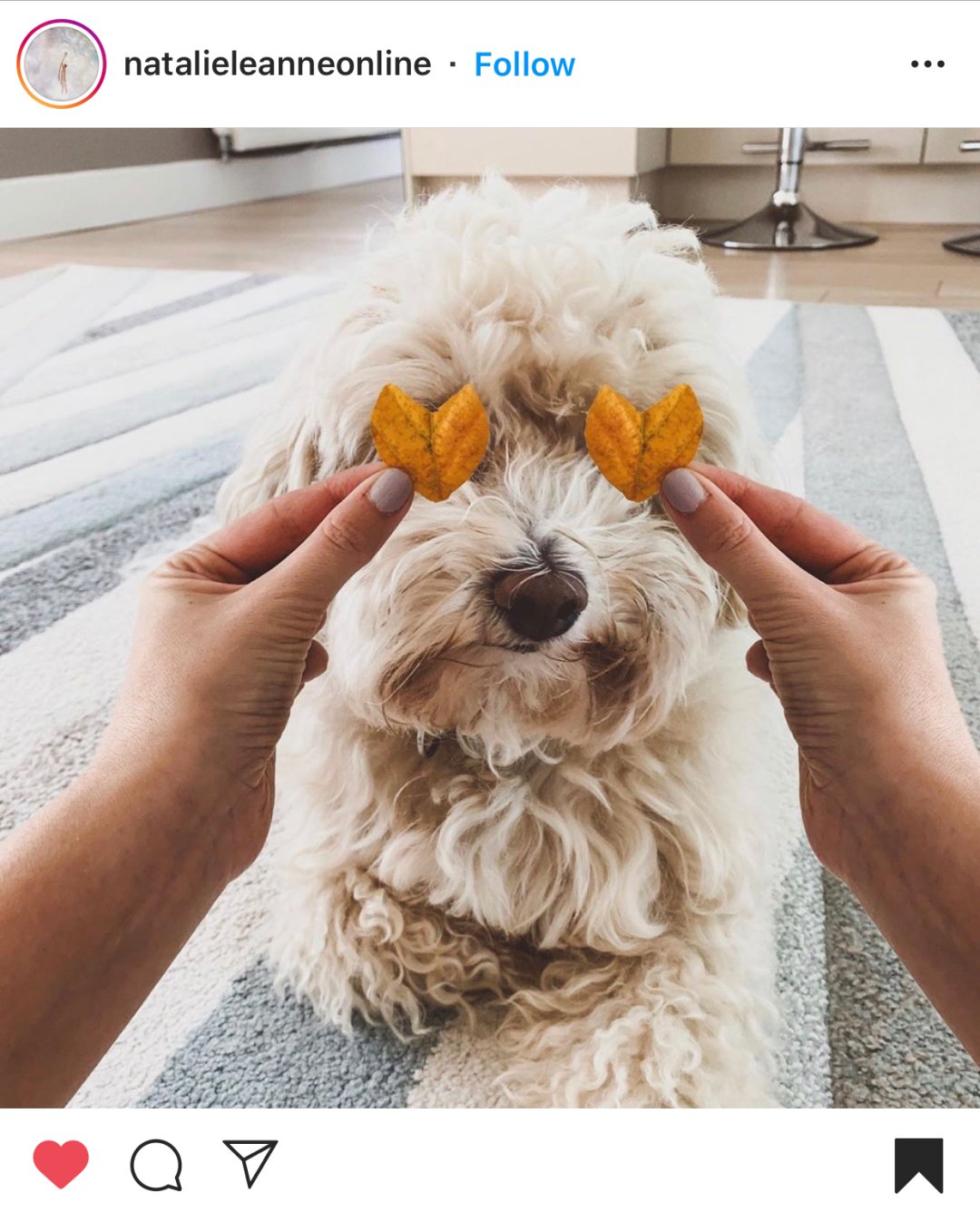 instagram-fall-photo-ideas-32 Best Instagram Fall Photo Ideas