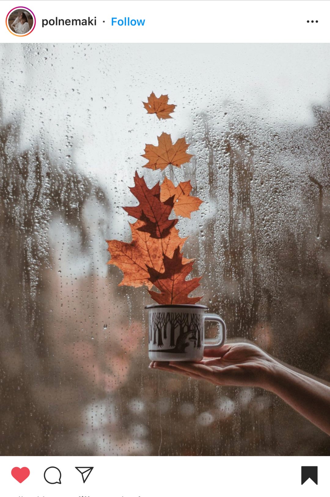 instagram-fall-photo-ideas-41 Best Instagram Fall Photo Ideas
