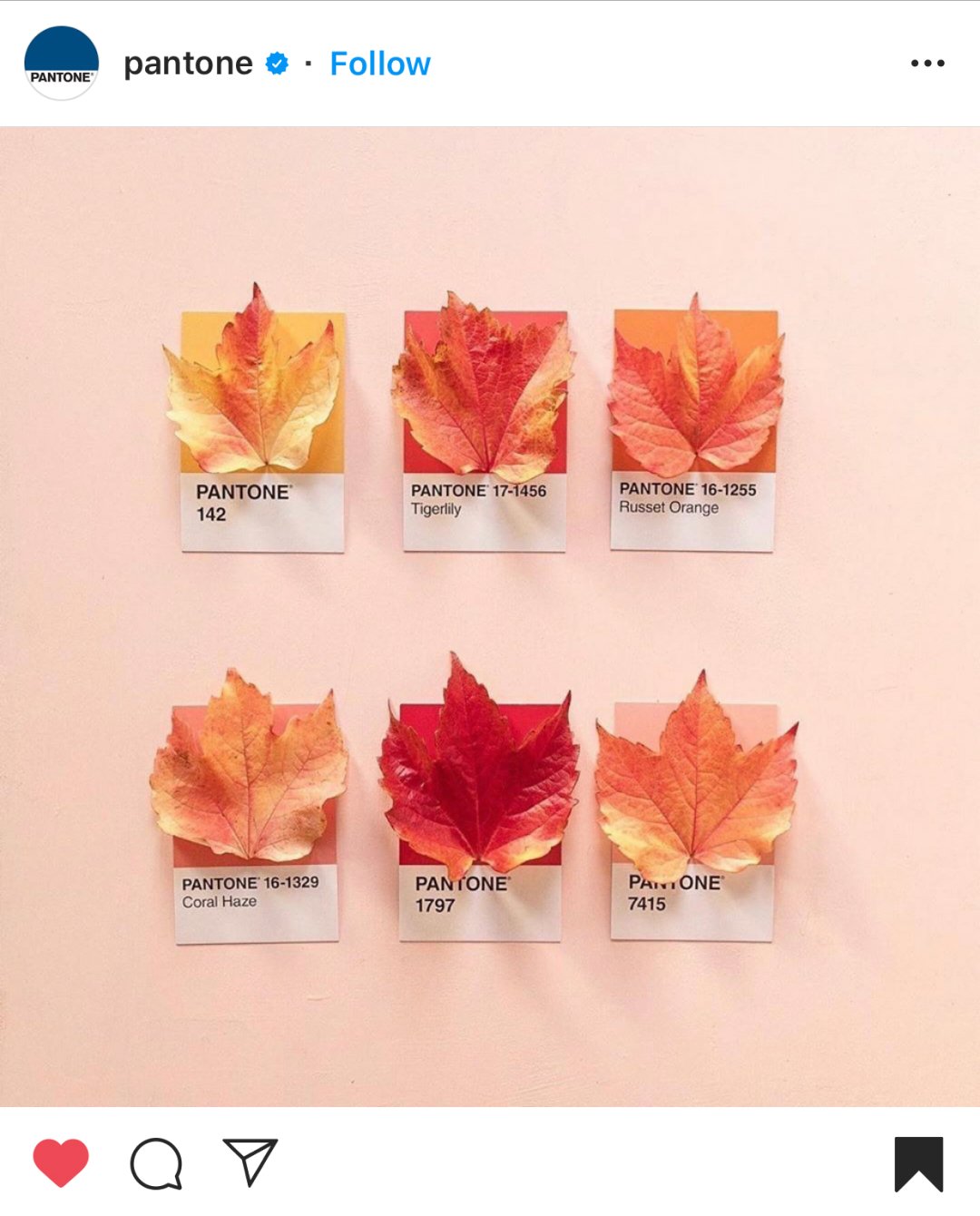 instagram-fall-photo-ideas-52 Best Instagram Fall Photo Ideas