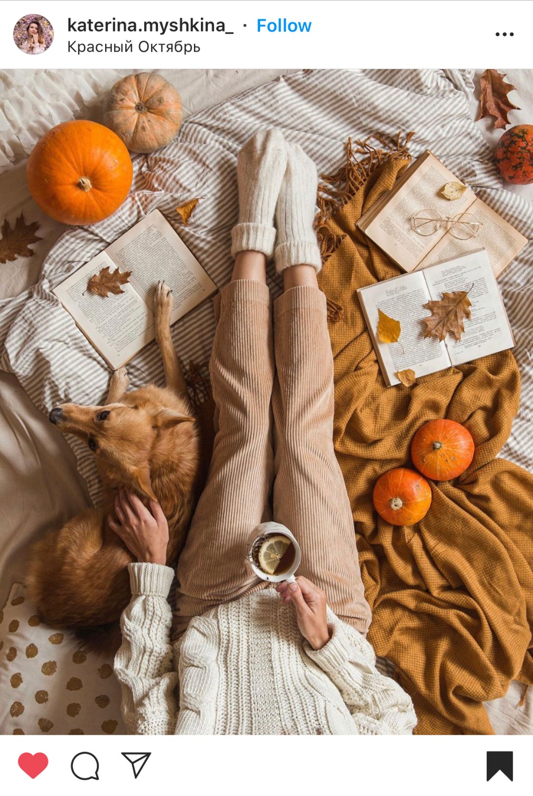 instagram-fall-photo-ideas-61 Best Instagram Fall Photo Ideas